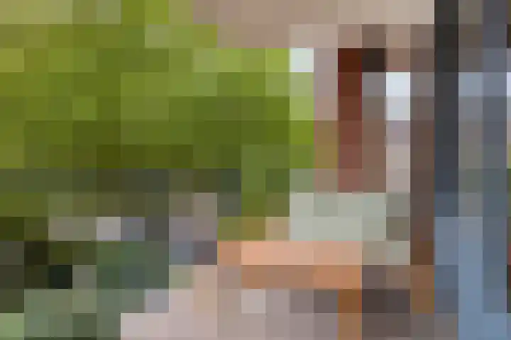 Samuel Morsestraat 8 's-Hertogenbosch thumbnail 13