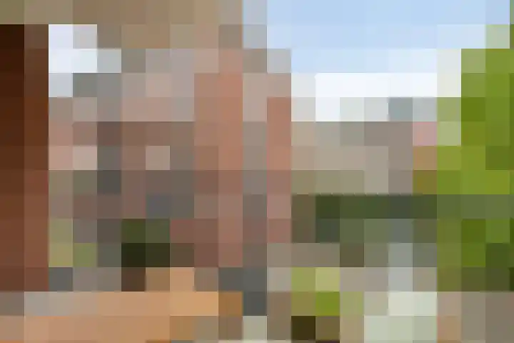 Samuel Morsestraat 8 's-Hertogenbosch thumbnail 15