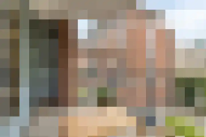 Samuel Morsestraat 8 's-Hertogenbosch thumbnail 16