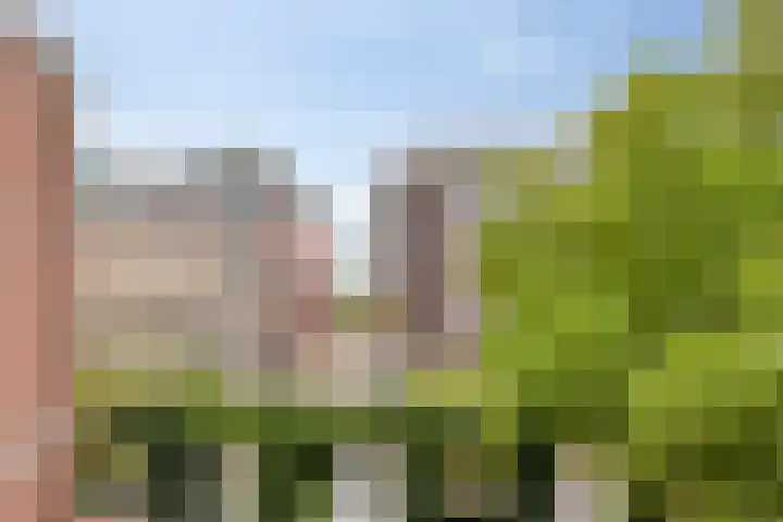 Samuel Morsestraat 8 's-Hertogenbosch thumbnail 22