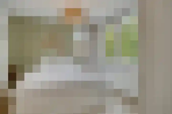 Samuel Morsestraat 8 's-Hertogenbosch thumbnail 32