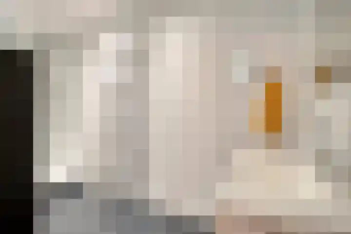 Samuel Morsestraat 8 's-Hertogenbosch thumbnail 34