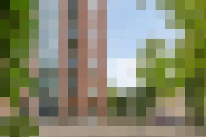 Samuel Morsestraat 8 's-Hertogenbosch thumbnail 39