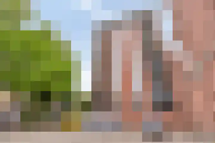 Samuel Morsestraat 8 's-Hertogenbosch thumbnail 41