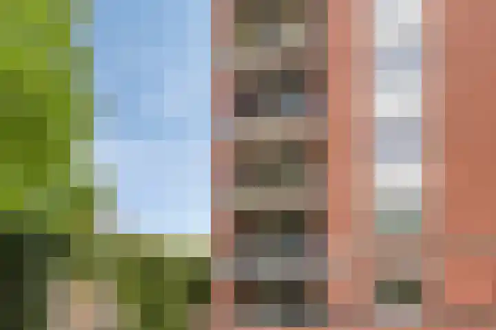 Samuel Morsestraat 8 's-Hertogenbosch thumbnail 42