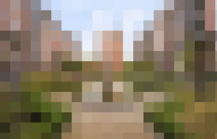 Samuel Morsestraat 8 's-Hertogenbosch thumbnail 43