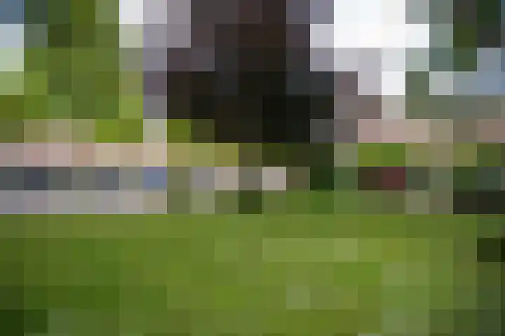 Samuel Mullerplein 10 A Rotterdam thumbnail 41