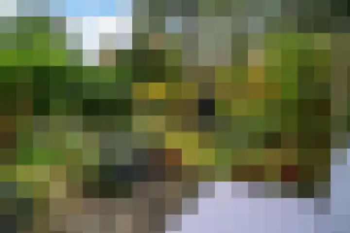 Samuel Mullerplein 14 A Rotterdam thumbnail 31