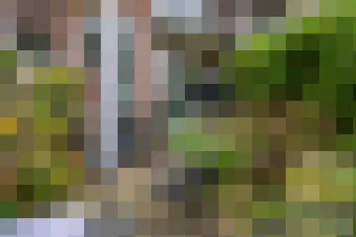Samuel Mullerplein 14 A Rotterdam thumbnail 32