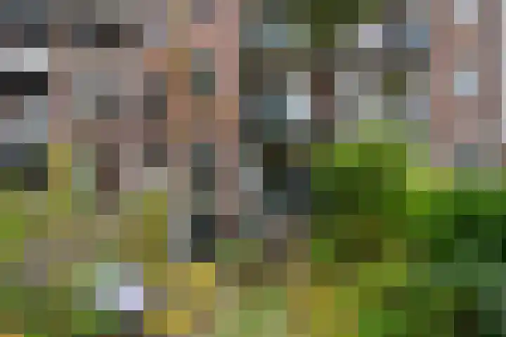 Samuel Mullerplein 14 A Rotterdam thumbnail 33