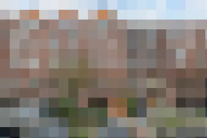 Samuel Mullerplein 14 A Rotterdam thumbnail 60