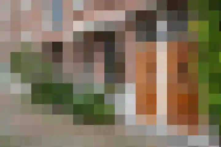 Samuel Mullerplein 14 A Rotterdam thumbnail 62