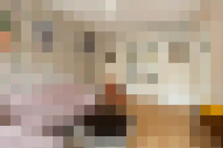 Samuel Mullerplein 14 A Rotterdam thumbnail 9