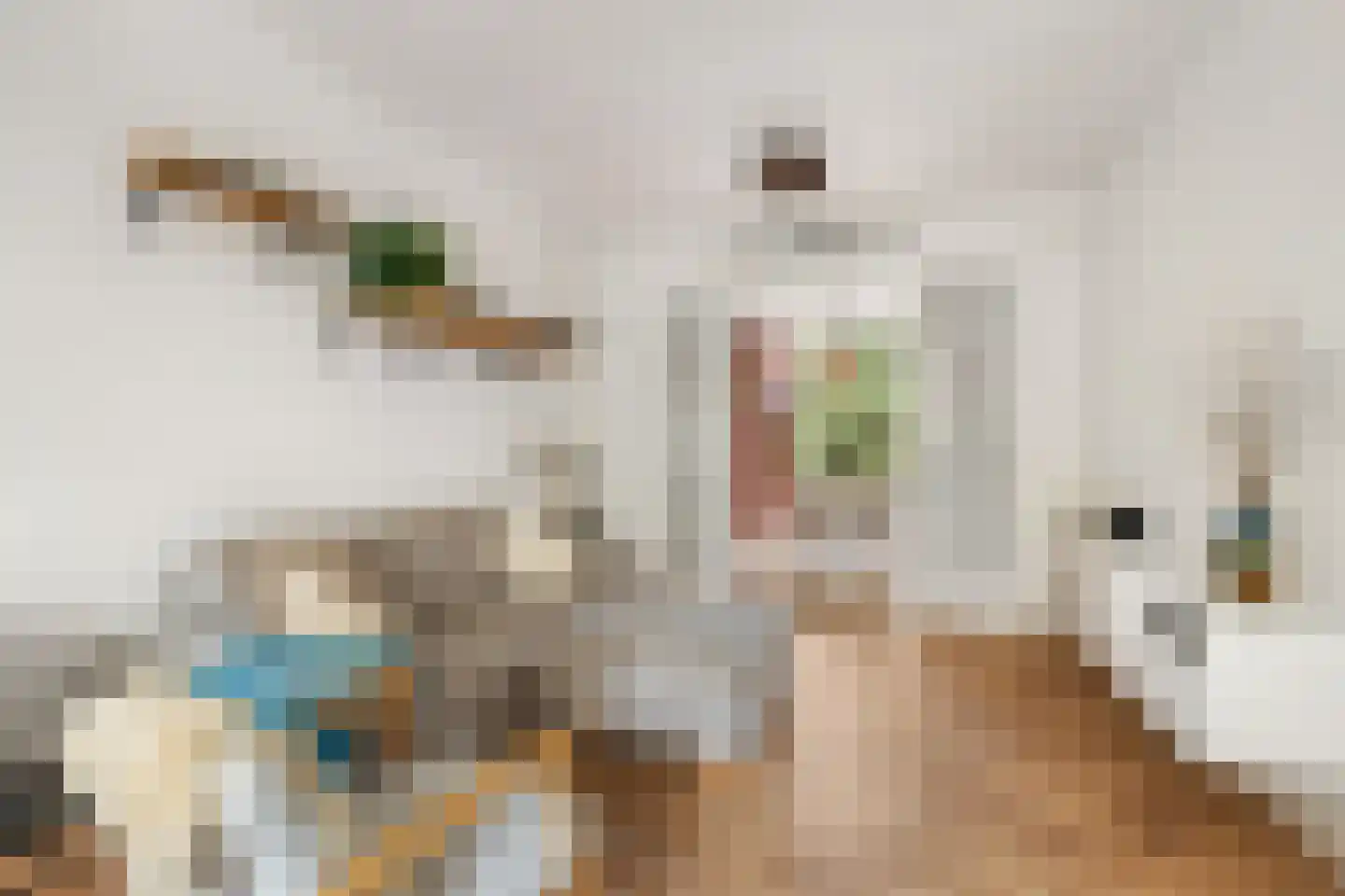 Samuel Mullerplein 14 B 02 Rotterdam thumbnail 13