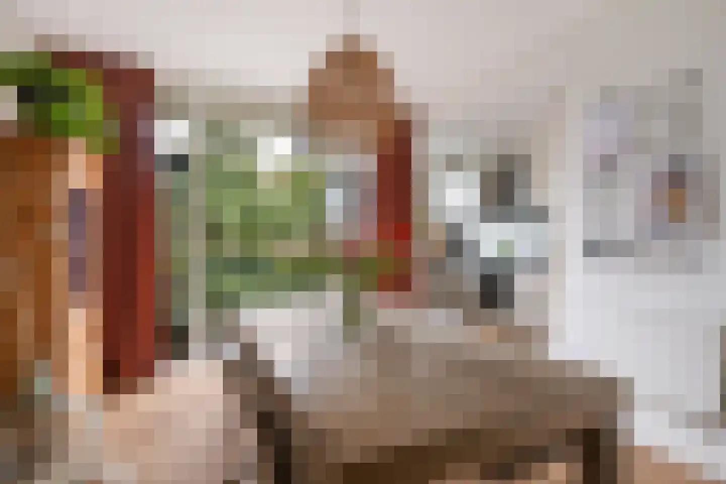 Samuel Mullerplein 14 B 02 Rotterdam thumbnail 18