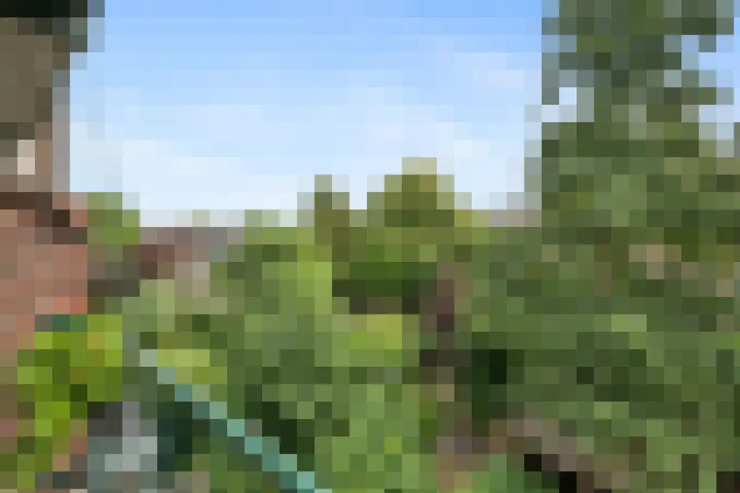 Samuel Mullerplein 14 B 02 Rotterdam thumbnail 25
