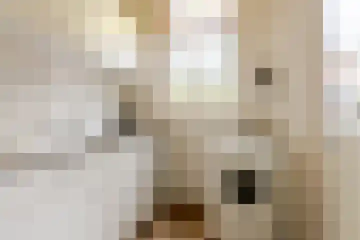 Samuel Mullerplein 15 E Rotterdam thumbnail 16