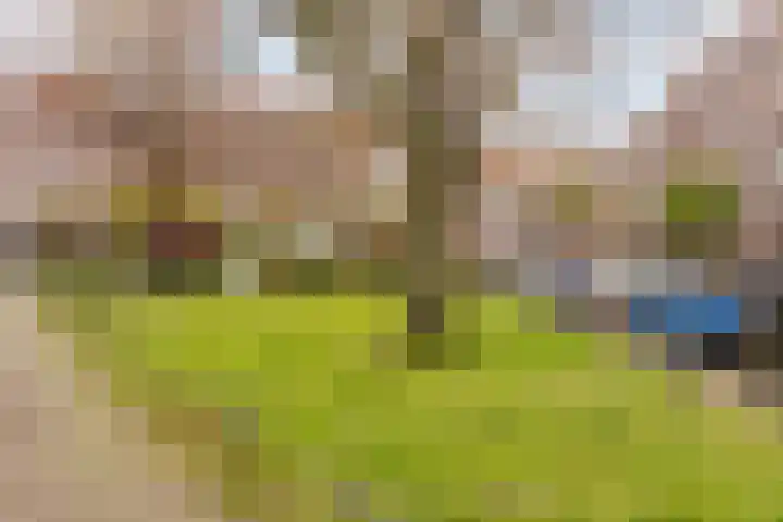 Samuel Mullerplein 15 E Rotterdam thumbnail 22