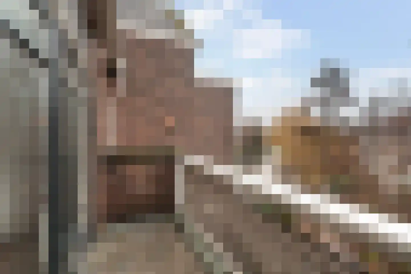 Samuel Mullerplein 15 H Rotterdam thumbnail 9