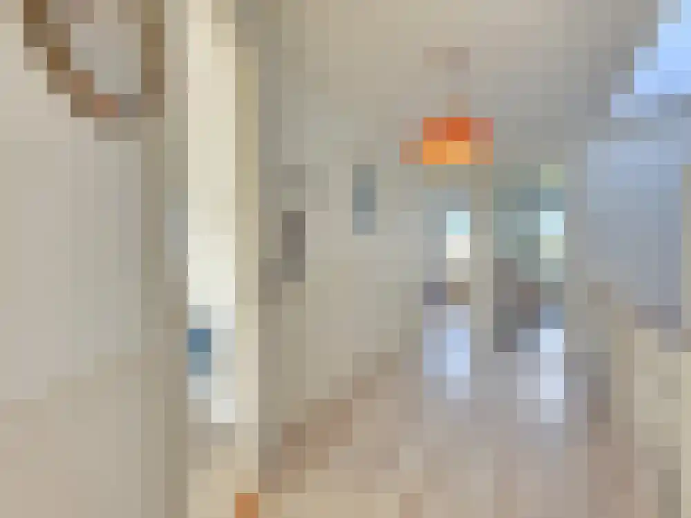 Samuel Mullerplein 3 Rotterdam thumbnail 10