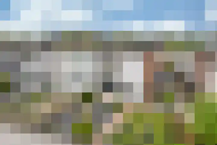 Samuel van Haringhouckstraat 25 Bolsward thumbnail 31