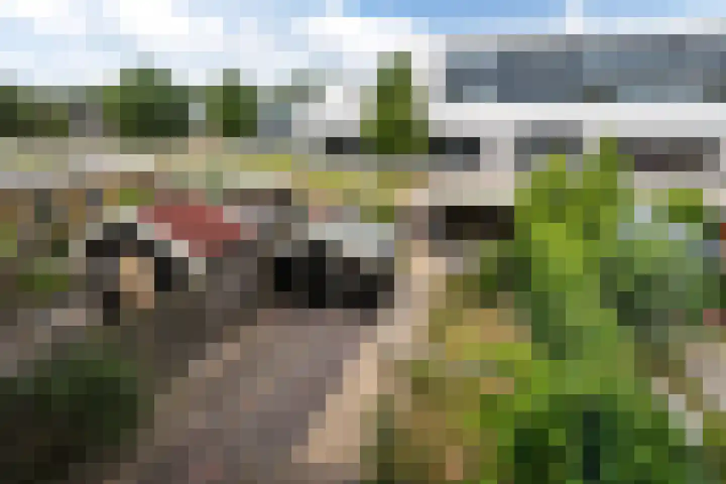 Samuel van Haringhouckstraat 3 Bolsward thumbnail 27