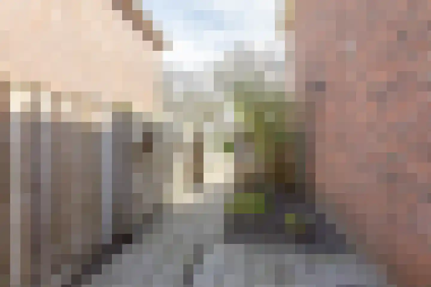 Samuel van Haringhouckstraat 61 Bolsward thumbnail 33