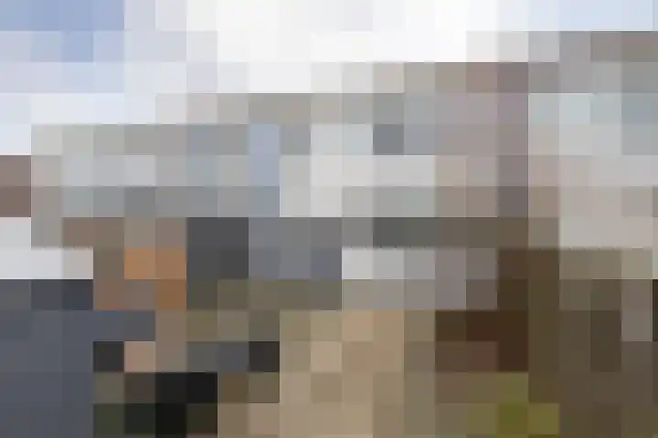 Samuel van Haringhouckstraat 65 Bolsward thumbnail 25