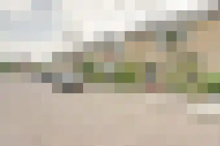 Samuel van Houtensingel 7 Zwijndrecht thumbnail 31