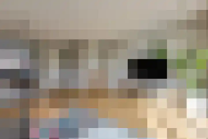 Samuelsonstraat 2 Bergschenhoek thumbnail 10