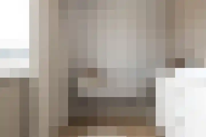 Samuelsonstraat 2 Bergschenhoek thumbnail 20