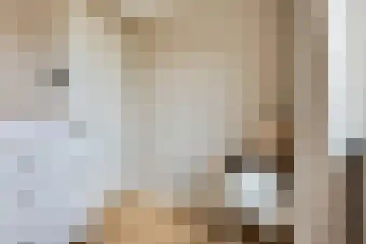 Samuelsonstraat 2 Bergschenhoek thumbnail 21