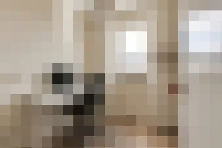 Samuelsonstraat 2 Bergschenhoek thumbnail 22