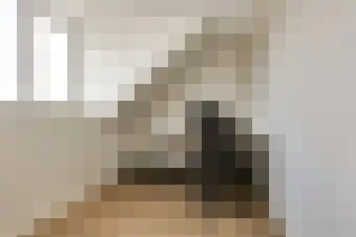 Samuelsonstraat 2 Bergschenhoek thumbnail 26