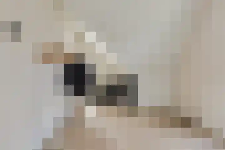 Samuelsonstraat 2 Bergschenhoek thumbnail 28