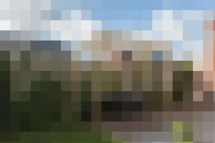 Samuelsonstraat 2 Bergschenhoek thumbnail 34