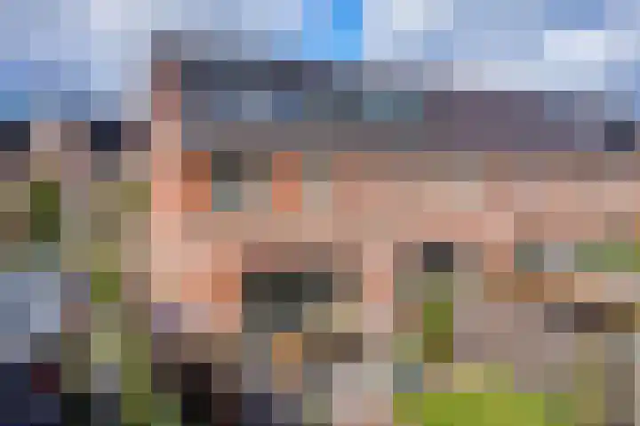 Samuelsonstraat 2 Bergschenhoek thumbnail 37