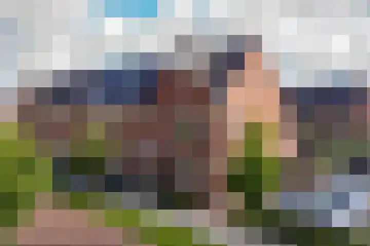 Samuelsonstraat 2 Bergschenhoek thumbnail 4