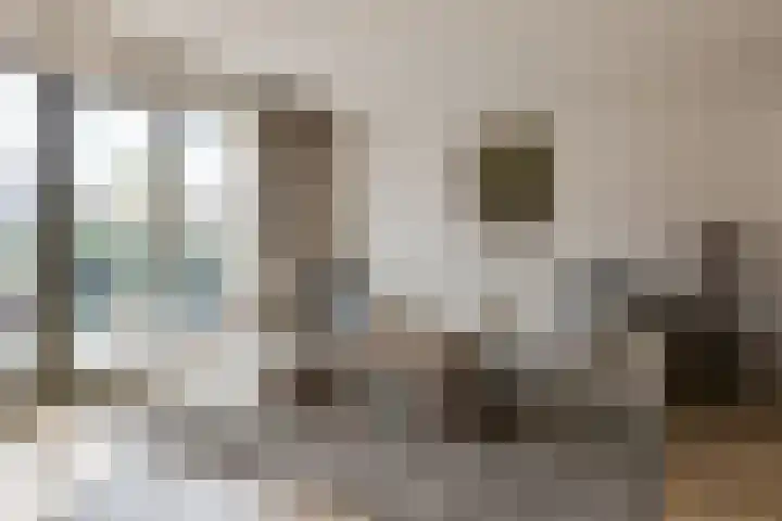 Samuelsonstraat 2 Bergschenhoek thumbnail 8