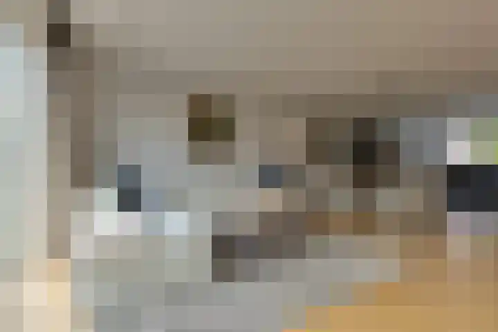 Samuelsonstraat 2 Bergschenhoek thumbnail 9