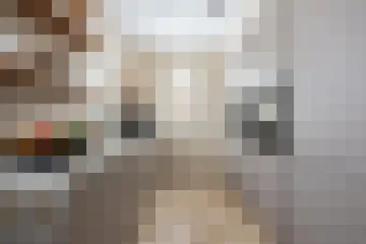 Samuelsonstraat 23 Bergschenhoek thumbnail 12