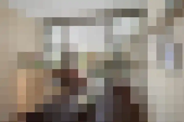 Samuelsonstraat 23 Bergschenhoek thumbnail 16