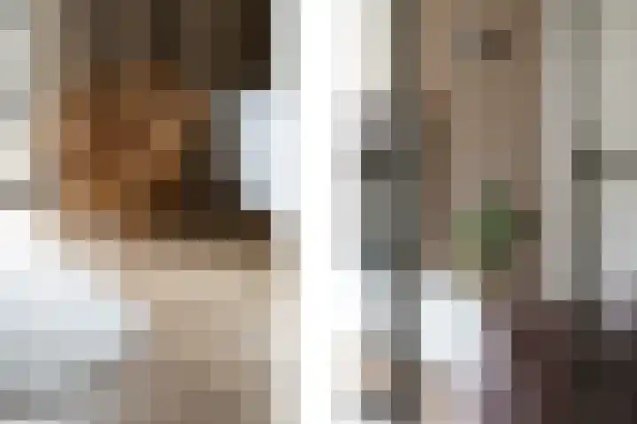 Samuelsonstraat 23 Bergschenhoek thumbnail 17