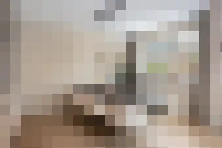 Samuelsonstraat 23 Bergschenhoek thumbnail 21