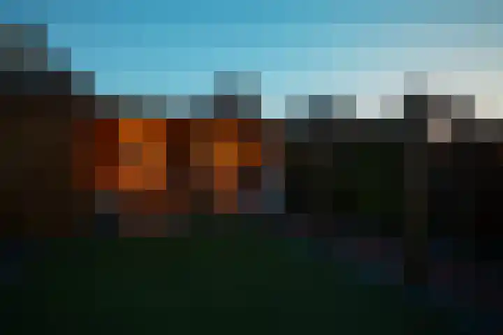 Samuelsonstraat 23 Bergschenhoek thumbnail 31