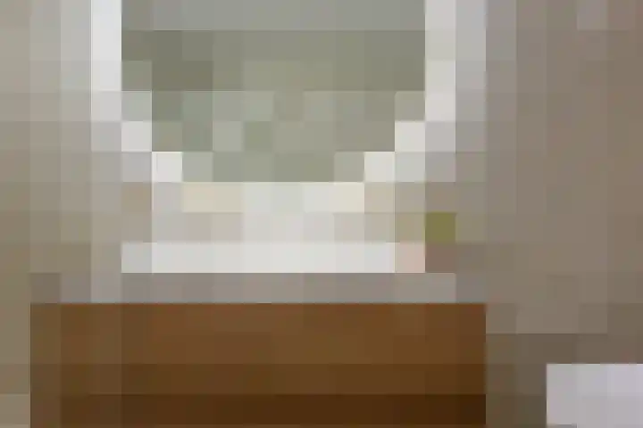 Samuelsonstraat 23 Bergschenhoek thumbnail 47