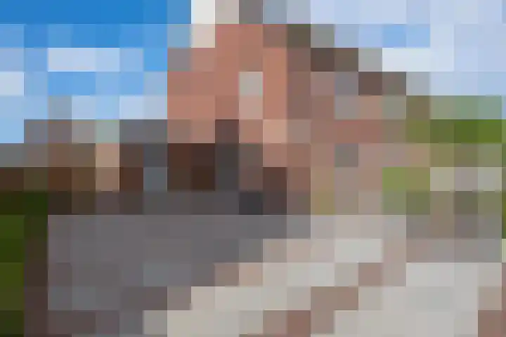 Samuelsonstraat 23 Bergschenhoek thumbnail 8
