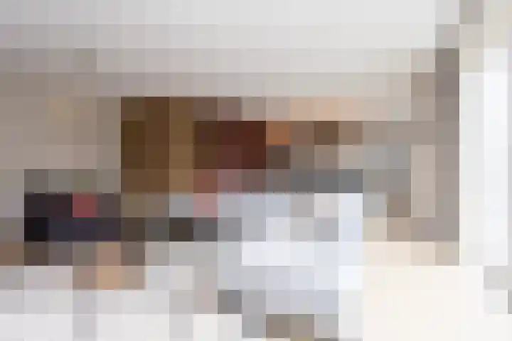 Samuelsonstraat 24 Bergschenhoek thumbnail 12