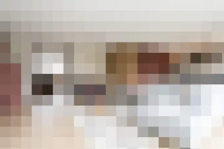 Samuelsonstraat 24 Bergschenhoek thumbnail 13