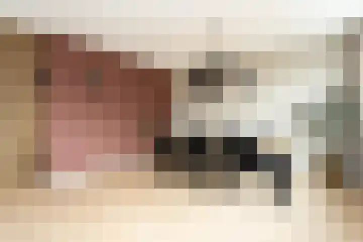 Samuelsonstraat 24 Bergschenhoek thumbnail 18